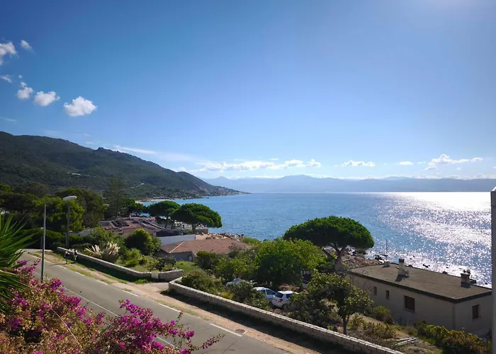 Appartement With Sea View And Pool Ideally Located